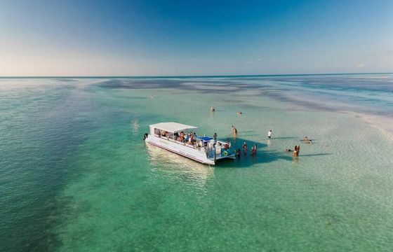 40' Osprey Private Daytime Charters!