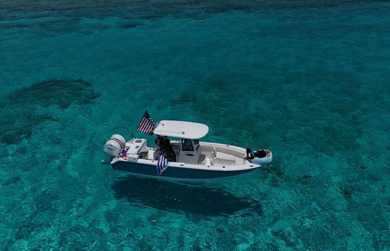 Premium 2024 Sea Hunt 25ft – Tampa Bay Adventures, Islands &amp; Sandbars