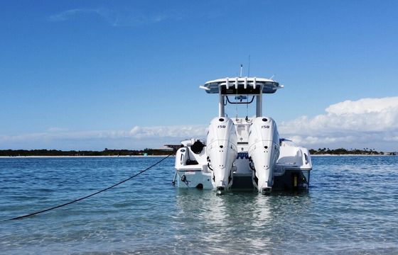 Premium 2024 Sea Hunt 25ft – Tampa Bay Adventures, Islands &amp; Sandbars