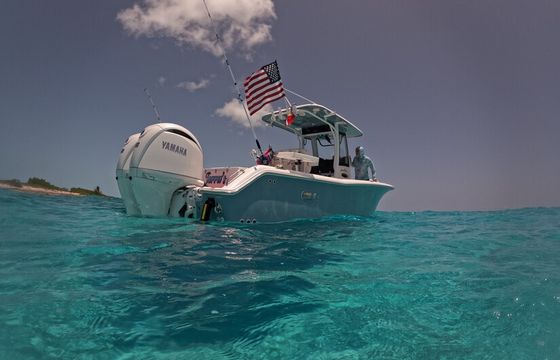Premium 2024 Sea Hunt 25ft – Tampa Bay Adventures, Islands &amp; Sandbars