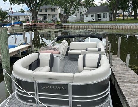 Well-maintained Pontoon Sylvan Mirage