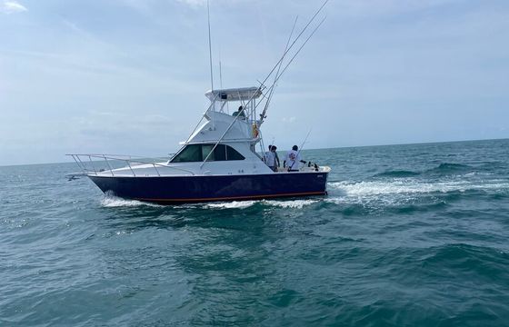 FoxSea Lady Charters