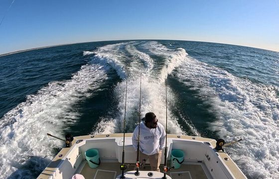 FoxSea Lady Charters
