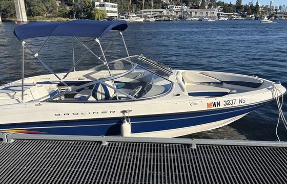 20' 2005 Bayliner bowrider 205