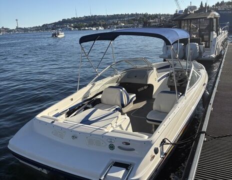 20' 2005 Bayliner bowrider 205