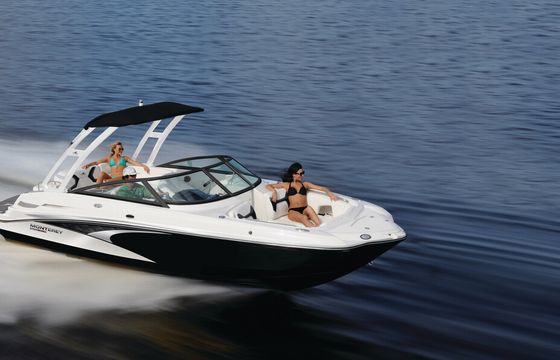 New Monterey M4 24 Ft Lake Minnetonka ~Ski/Tube/Wake-board
