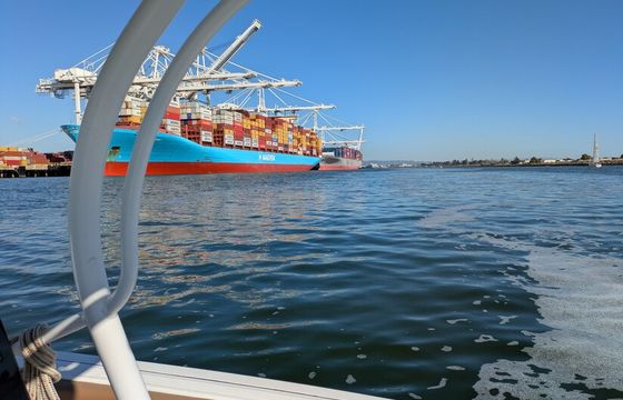 Fast and Fun Private Bay Tours and More!