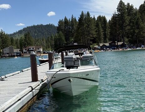 Lake Tahoe's Wavy Gravy