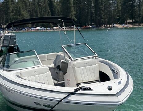 Lake Tahoe's Wavy Gravy