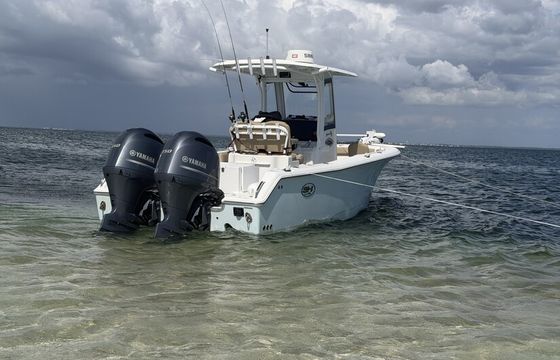 Relax and Unwind on Your Gamefish Experience