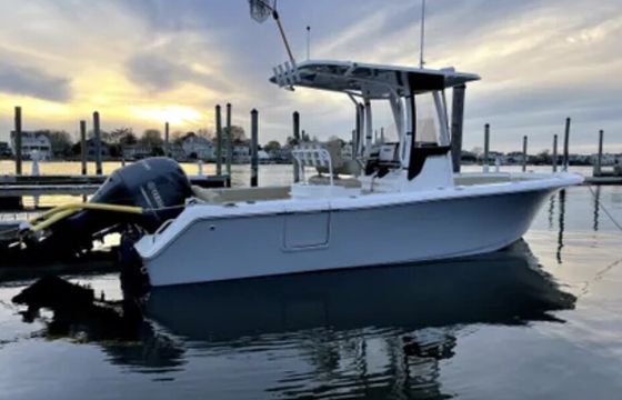 Relax and Unwind on Your Gamefish Experience