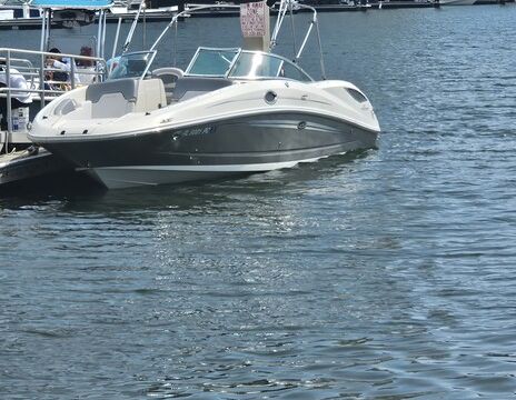 Sea Ray 300 Sundeck
