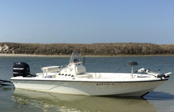 Sunset cruises, sight seeing, dolphin watching, bird watching, &amp; ski