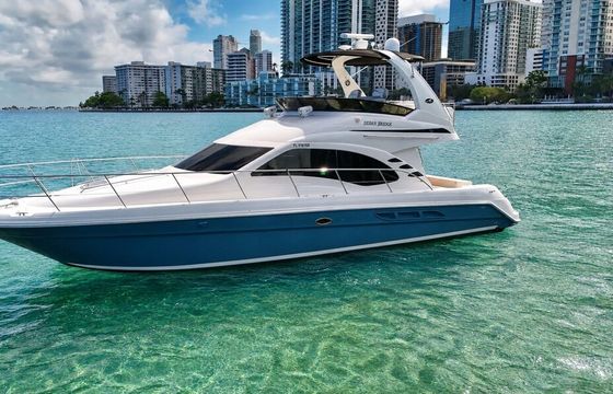 Elegant 2018 Sea Ray 48 Motor Yacht in Miami for 13 Guests