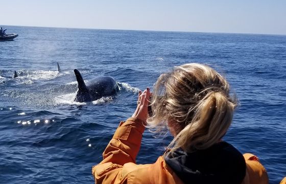 Private 12-Passenger Whale Watching Experience