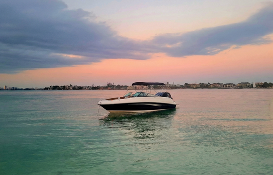 24 ft. Sea Ray Bowrider - Gliding through the Bay in style!