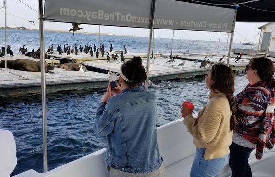 Raven On The Bay - San Diego's Fun and Affordable Limo Boat
