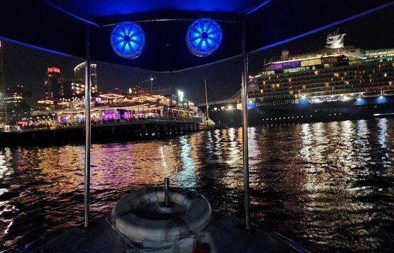 Raven On The Bay - San Diego's Fun and Affordable Limo Boat