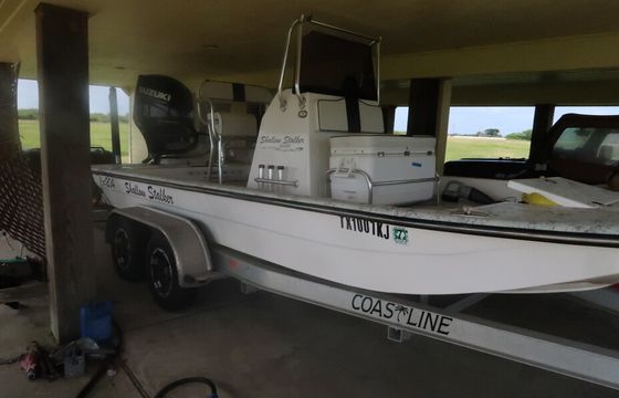 Shallow Stalker Cat 204