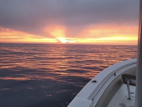 Custom Charter, Fishing and Wildlife Boat Adventures - 24' Sea Fox