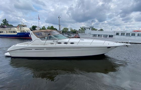 Experience Luxury on the Water – 45' Sea Ray Yacht