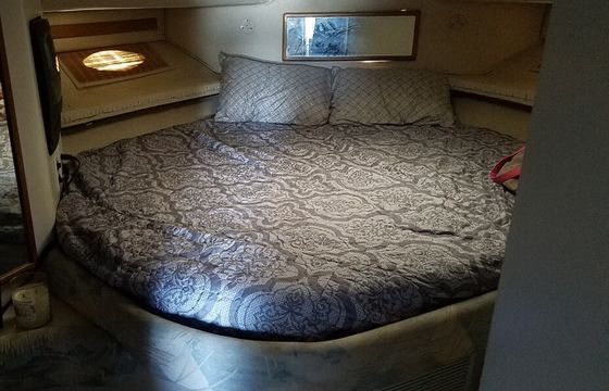 Experience Luxury on the Water – 45' Sea Ray Yacht