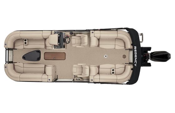 Luxury Tritoon on Folsom Lake  Regency 230 DL3 | 200HP | Seats 12