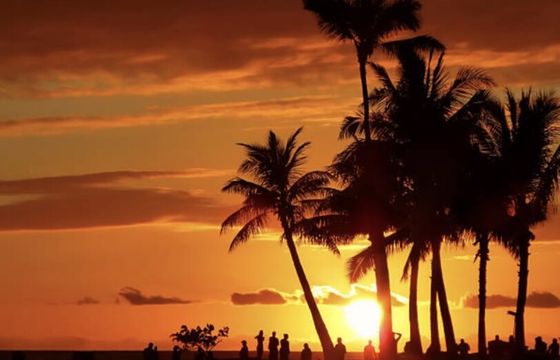 SPECIAL PRICE Private Charter: Snorkel, Dolphins, Sunset, Fireworks