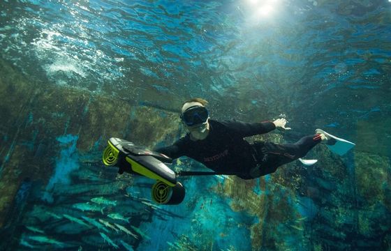 SPECIAL PRICE Private Charter: Snorkel, Dolphins, Sunset, Fireworks