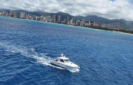 SPECIAL PRICE Private Charter: Snorkel, Dolphins, Sunset, Fireworks