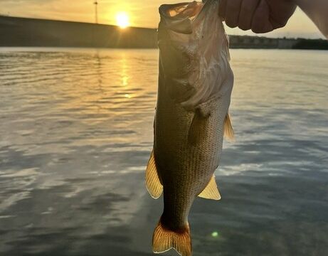 Self-Captained Fishing Experience – Lake Travis