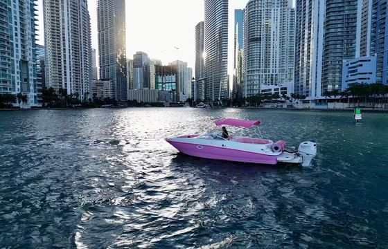 Miami River Bayliner 26' — Easy Access, Seats 11