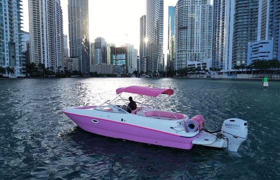 Miami River Bayliner 26' — Easy Access, Seats 11