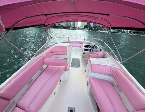 Miami River Bayliner 26' — Easy Access, Seats 11