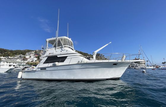 45' Convertable Yacht - Luxury Cruising and Sportfishing Excellence