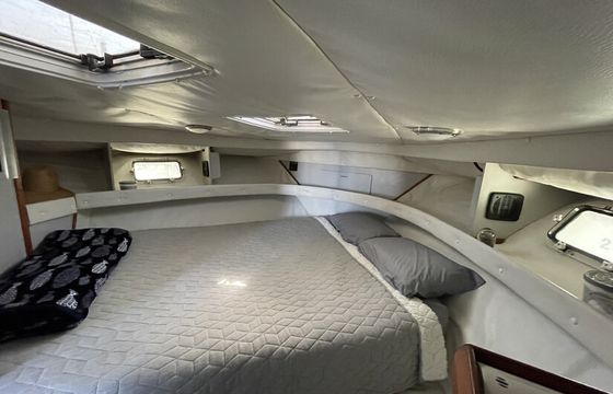 45' Convertable Yacht - Luxury Cruising and Sportfishing Excellence