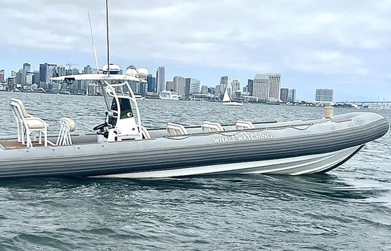 33 Foot, WHALE WATCHING SPEED BOAT, 17 Passenger RIB