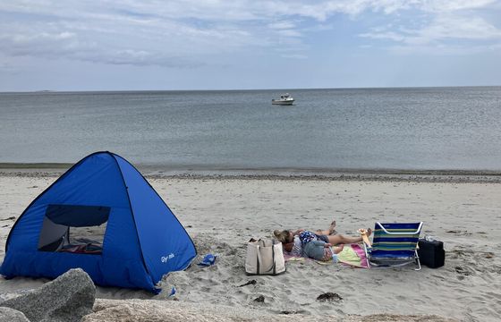 Plymouth’s Boat for Fun—From Beach Day to Catch of the Day