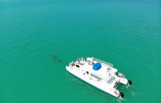 54' Luxury "Miss Lora" Catamaran Sandbar Charter in Key West!
