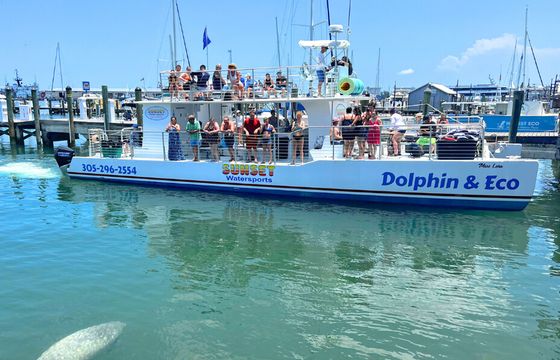 54' Luxury "Miss Lora" Catamaran Sandbar Charter in Key West!