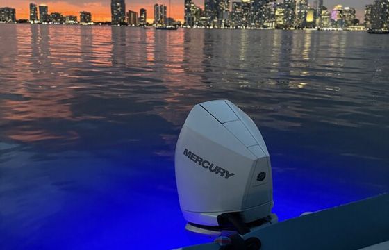 Miami Bay Cruise & Sandbar Adventure | Captain Included, Up to 12 ppl