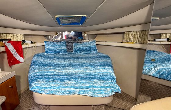 Millionaires Row and Sandbar Tour – Fort Lauderdale