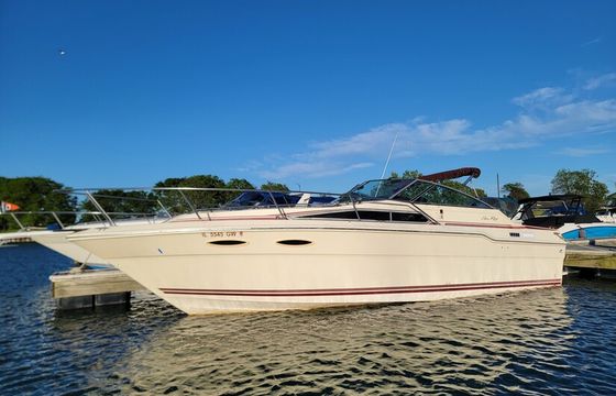 Sea Ray 300 Motor Yacht | Chicago Playpen and River Cruises