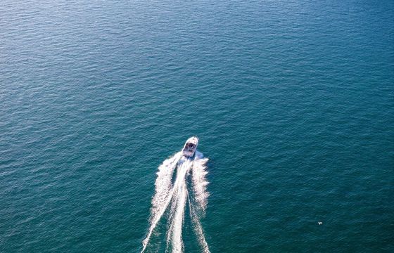 Sea Ray 300 Motor Yacht | Chicago Playpen and River Cruises