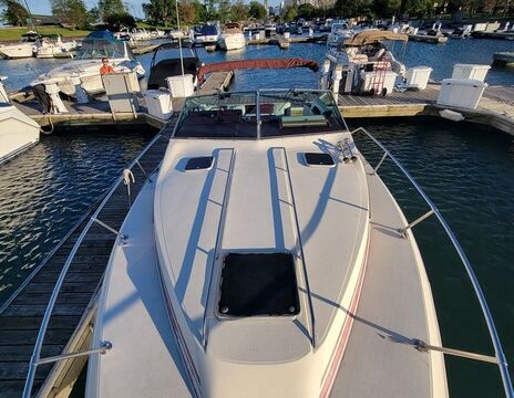 Sea Ray 300 Motor Yacht | Chicago Playpen and River Cruises
