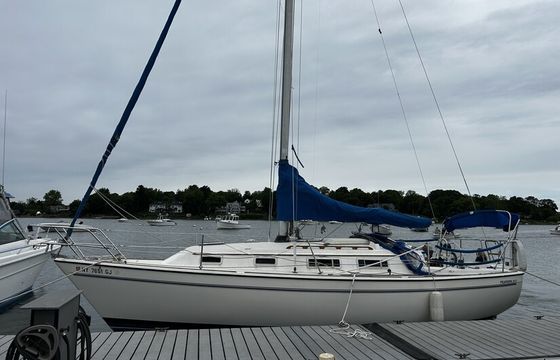30’ sloop sail boat.