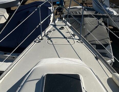 30’ sloop sail boat.