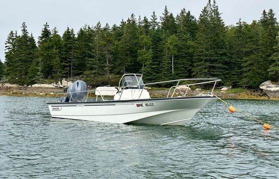 Boston Whaler 17 Montauk