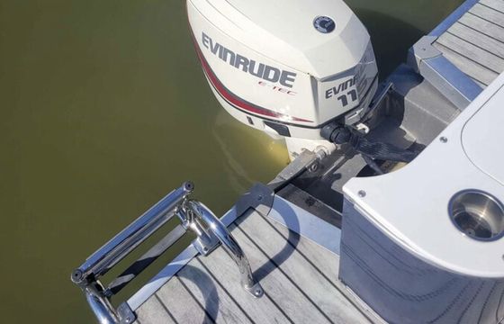 AWESOME AVALON PONTOON