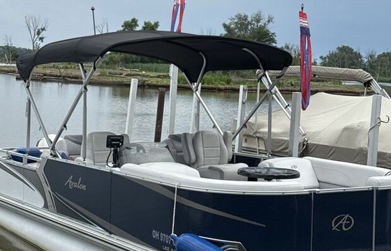AWESOME AVALON PONTOON